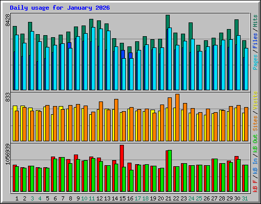 Daily usage for January 2026