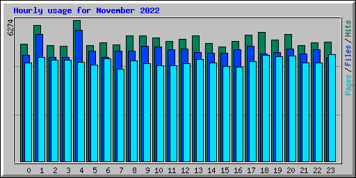 Hourly usage for November 2022