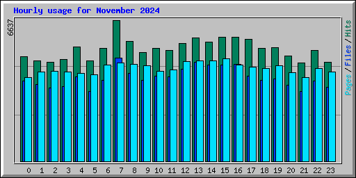 Hourly usage for November 2024