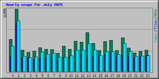 Hourly usage for July 2025
