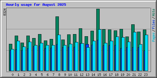 Hourly usage for August 2025