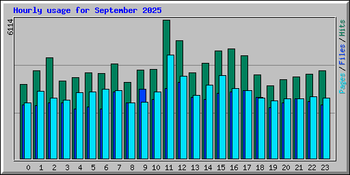 Hourly usage for September 2025