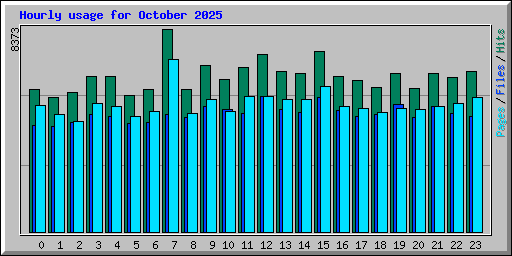 Hourly usage for October 2025
