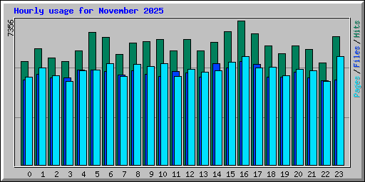 Hourly usage for November 2025