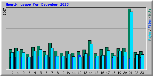 Hourly usage for December 2025