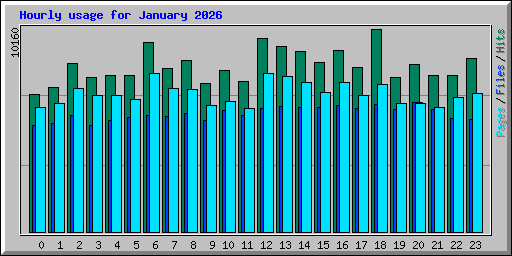Hourly usage for January 2026