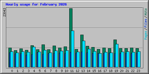 Hourly usage for February 2026