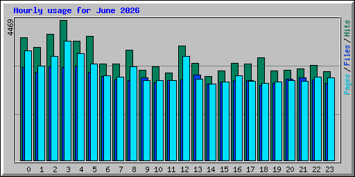 Hourly usage for June 2026