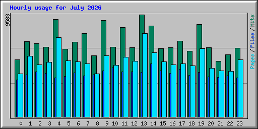 Hourly usage for July 2026