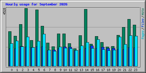 Hourly usage for September 2026