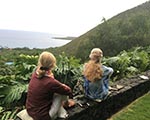 Women's Big Island Retreat